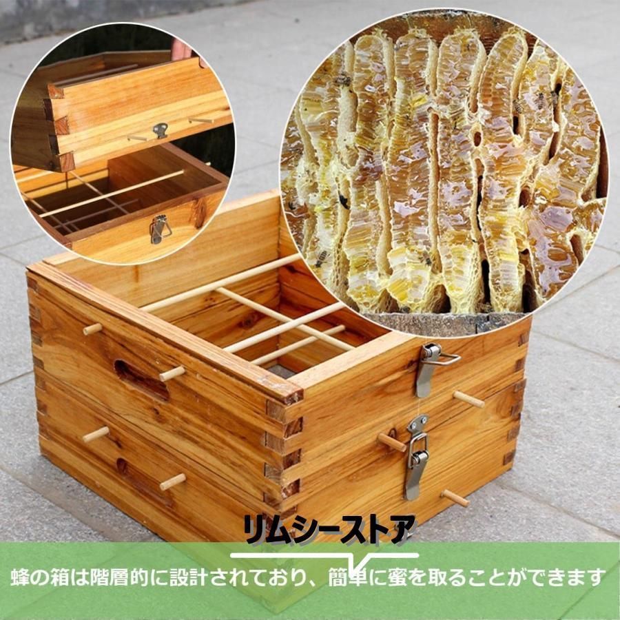 ミツバチ 巣箱