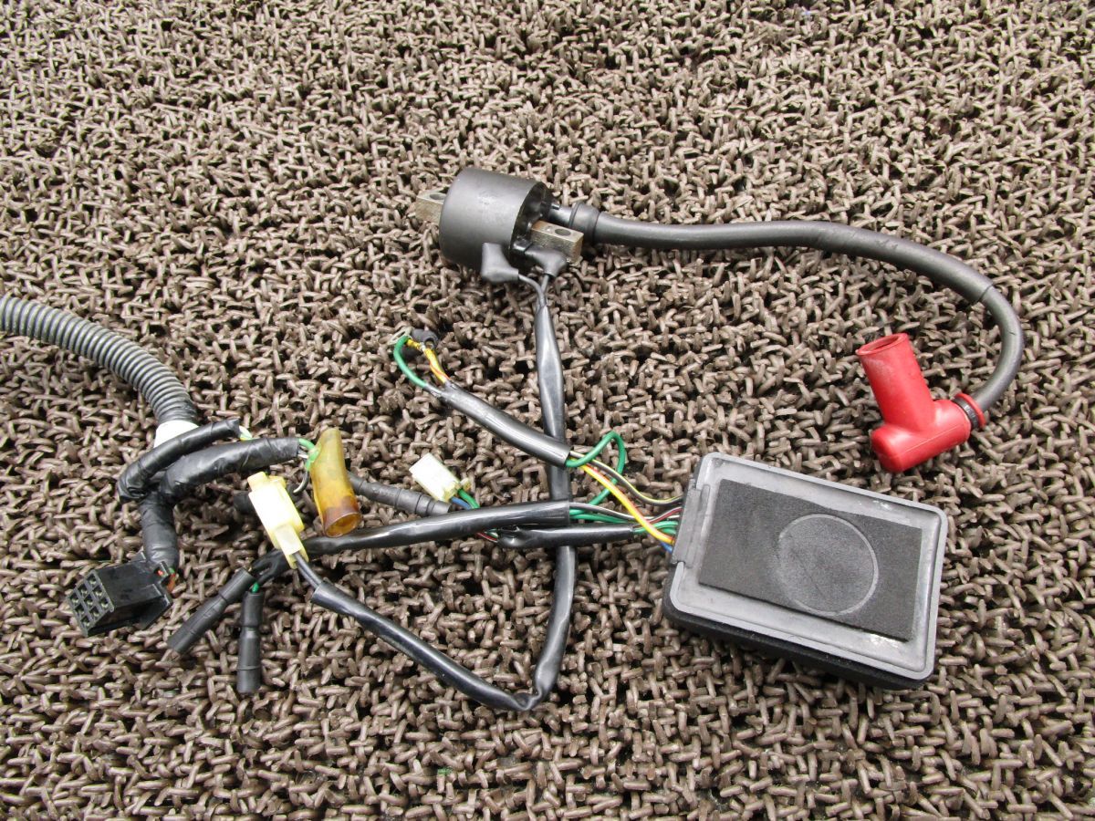 TLM220R メインハーネス A3938 CDI レギュレター イグニッションコイルMD23 ホンダ MD23E キャブ車 動画有