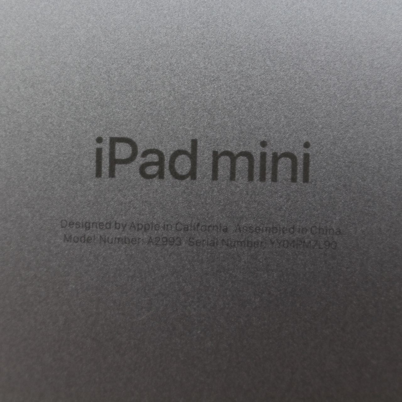 iPad