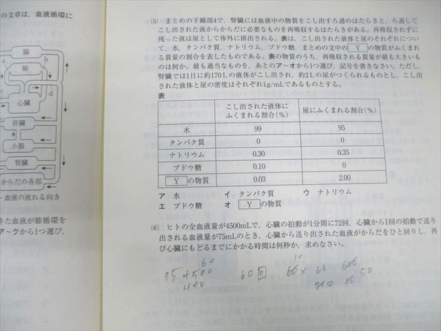 公開テスト