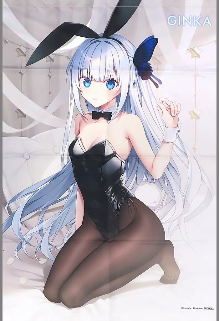 中古】タペストリー ギンカ 描き下ろしB2タペストリー 「Switch/PC
