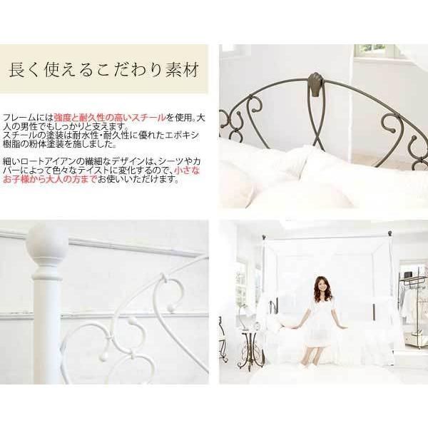 アイアン プリンセスチック