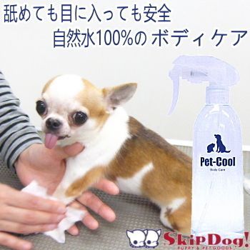 ペットクール ボディケア スプレーボトル Pet Cool Body Care チワワ