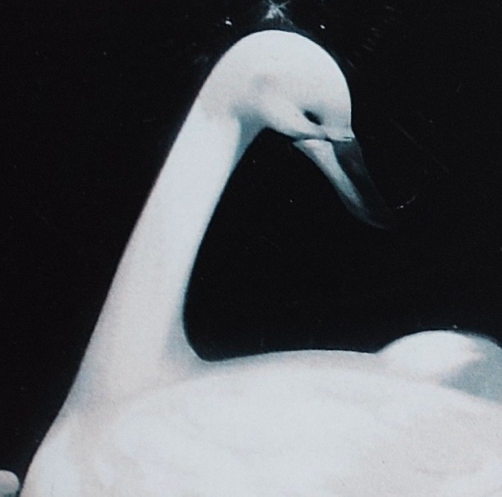 令和7年 石川県産 コシヒカリ 玄米20kg