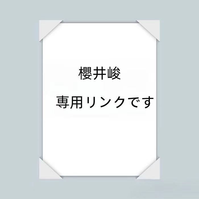 櫻井峻  専用リンクです