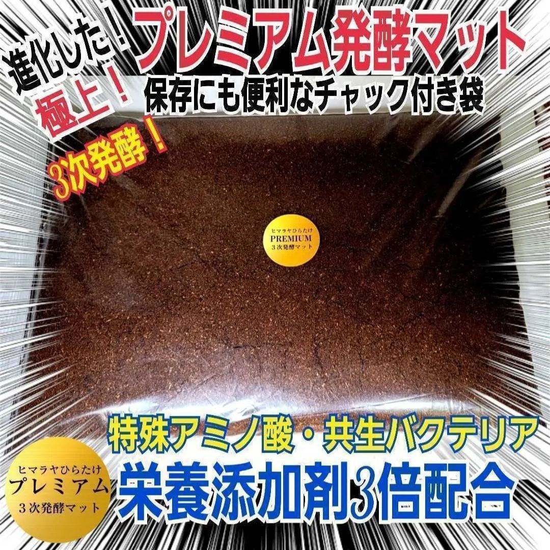 外国産カブトムシ幼虫が大きくなります