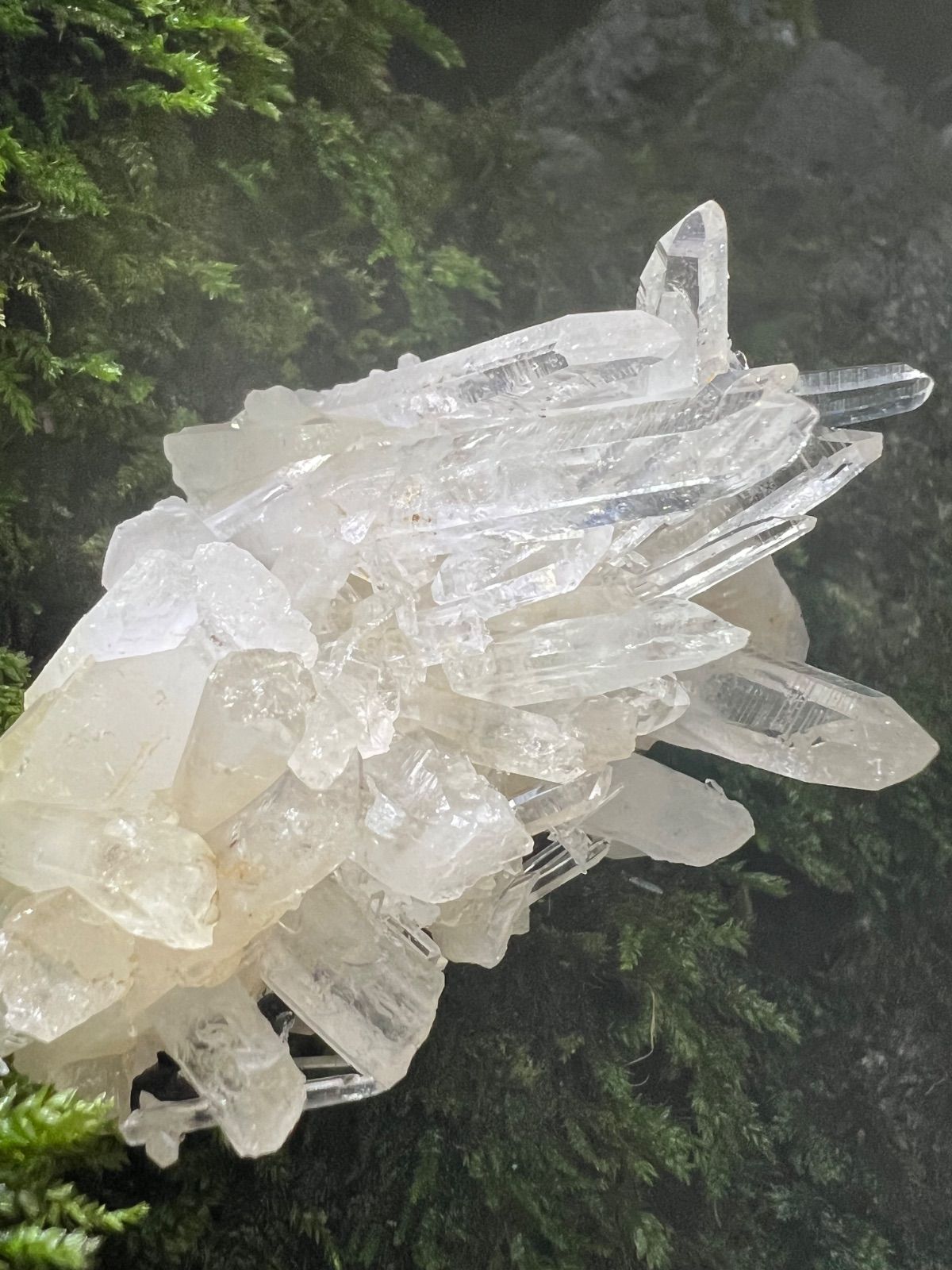 龍脈の精髄 ―宮崎産 水晶クラスター 「聖域を生む調和の結晶」【保護猫活動支援】 龍脈の精髄 ― 宮崎産 水晶クラスター 聖域を生む調和の結晶 保護猫活動