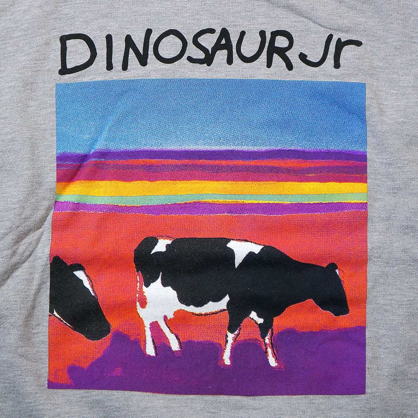 【未開封品】ダイナソーJr　スウェット 新品】DINOSAUR Jr. 正規品 スウェットシャツ トレーナー ロック