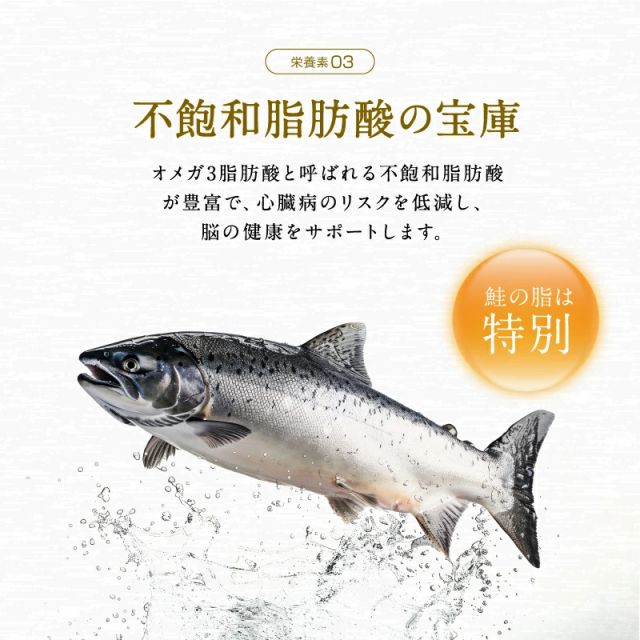 しゃけ シャケ