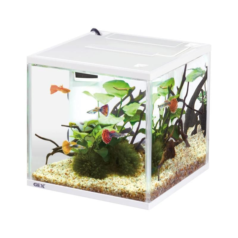 ジェックス GEX AQUARIUM サイレントフィット アルファ 600 静音・省