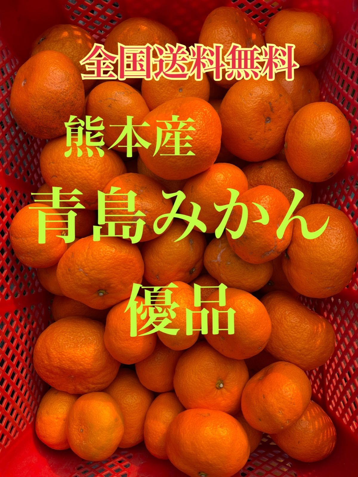 在庫一掃 熊本産青島みかん優品混合サイズ10kg みかん」の検索結果