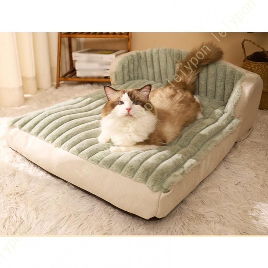 犬 猫