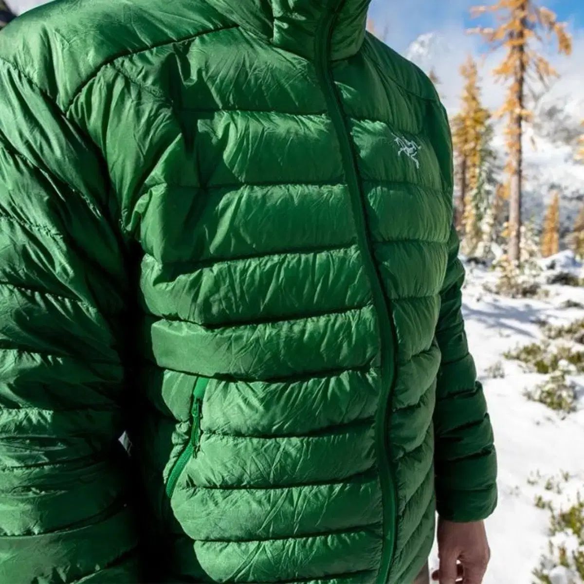 ARC'TERYX(アークテリクス) セリウム 緑 フランク 海洋
