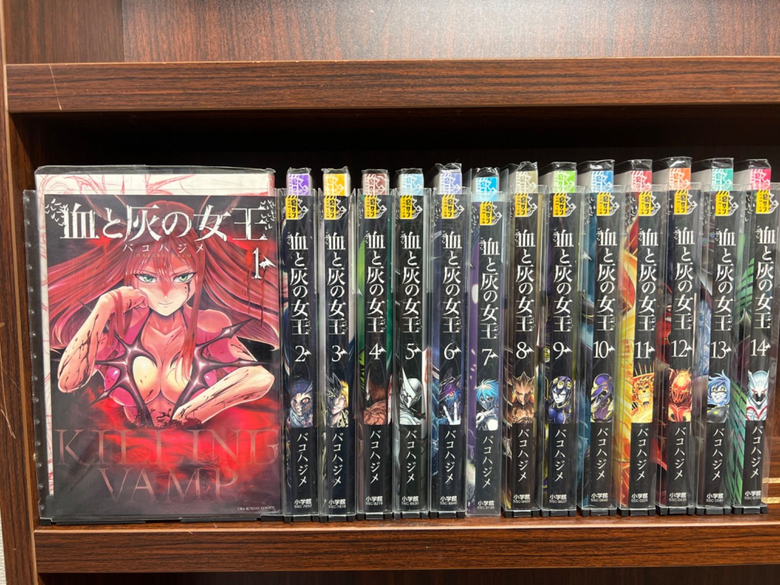 血と灰の女王【1〜14巻】セット - メルカリ