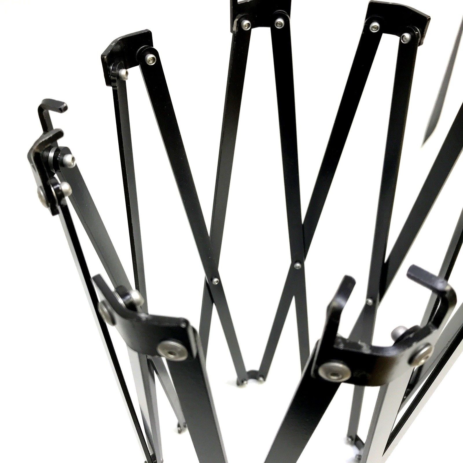 オクタゴンサークル