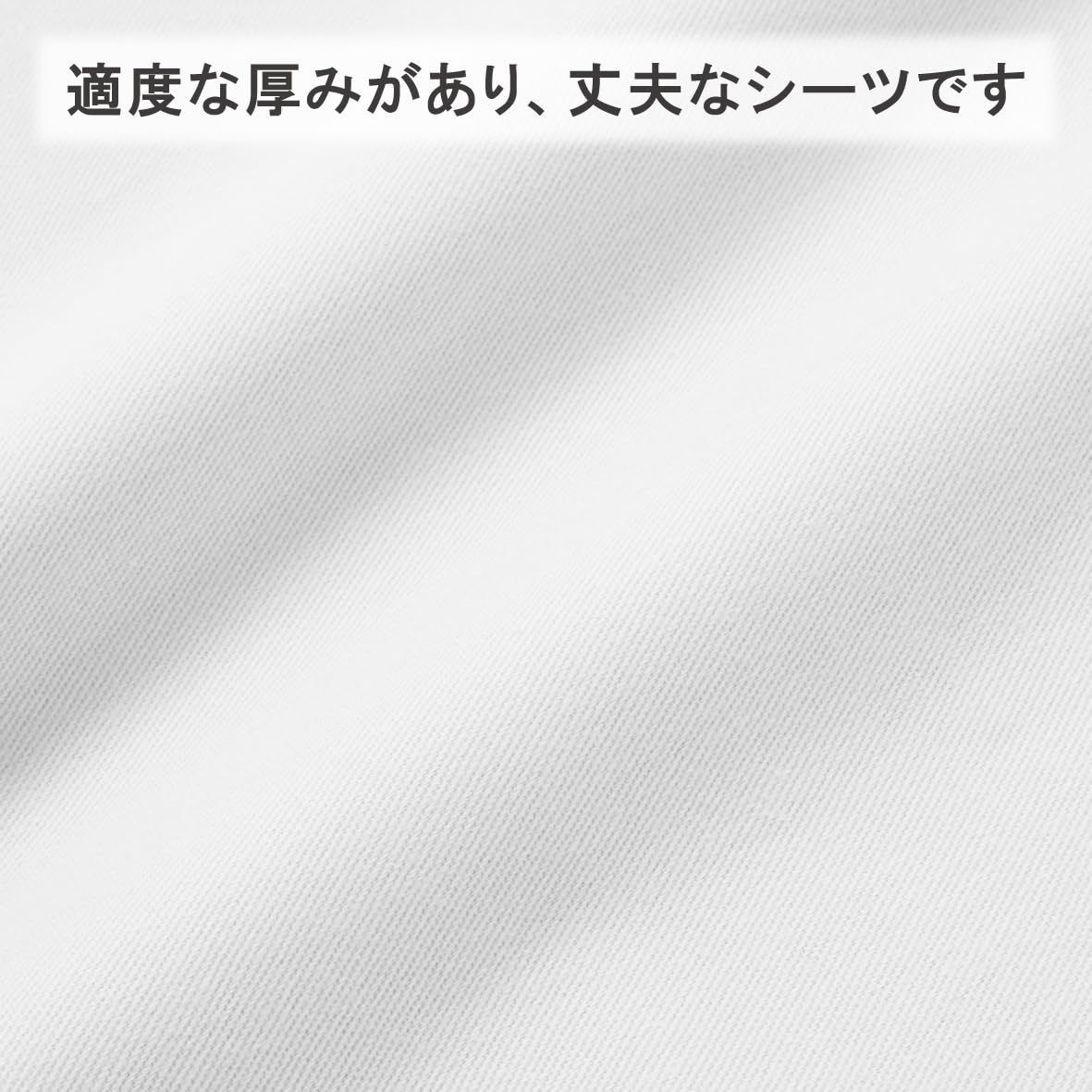 しっかり PK00001055W