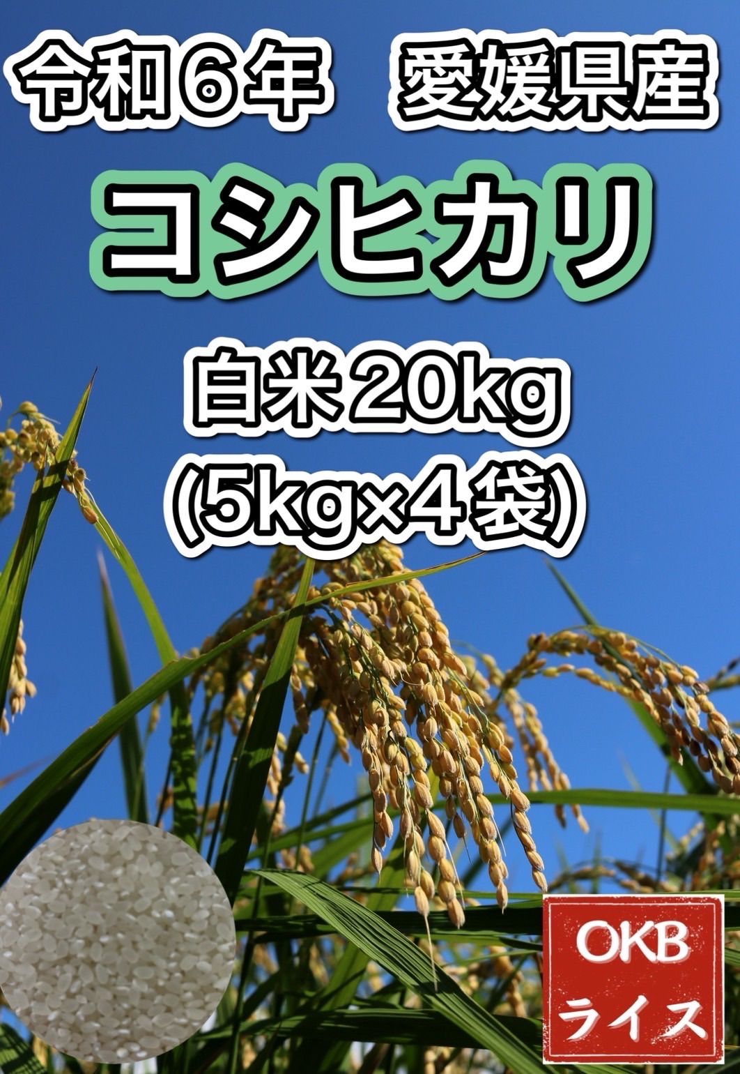 kota  お米　令和２年　愛媛県産コシヒカリ　白米　20㎏ 令和6年産】愛媛県産コシヒカリ20kg(5kg×4袋) 白米 お米【全国