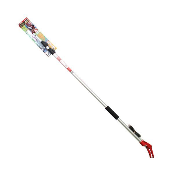 T653 茶碗 『萩茶碗』『東光山 十一代 大和松雁』 共箱 抹茶碗