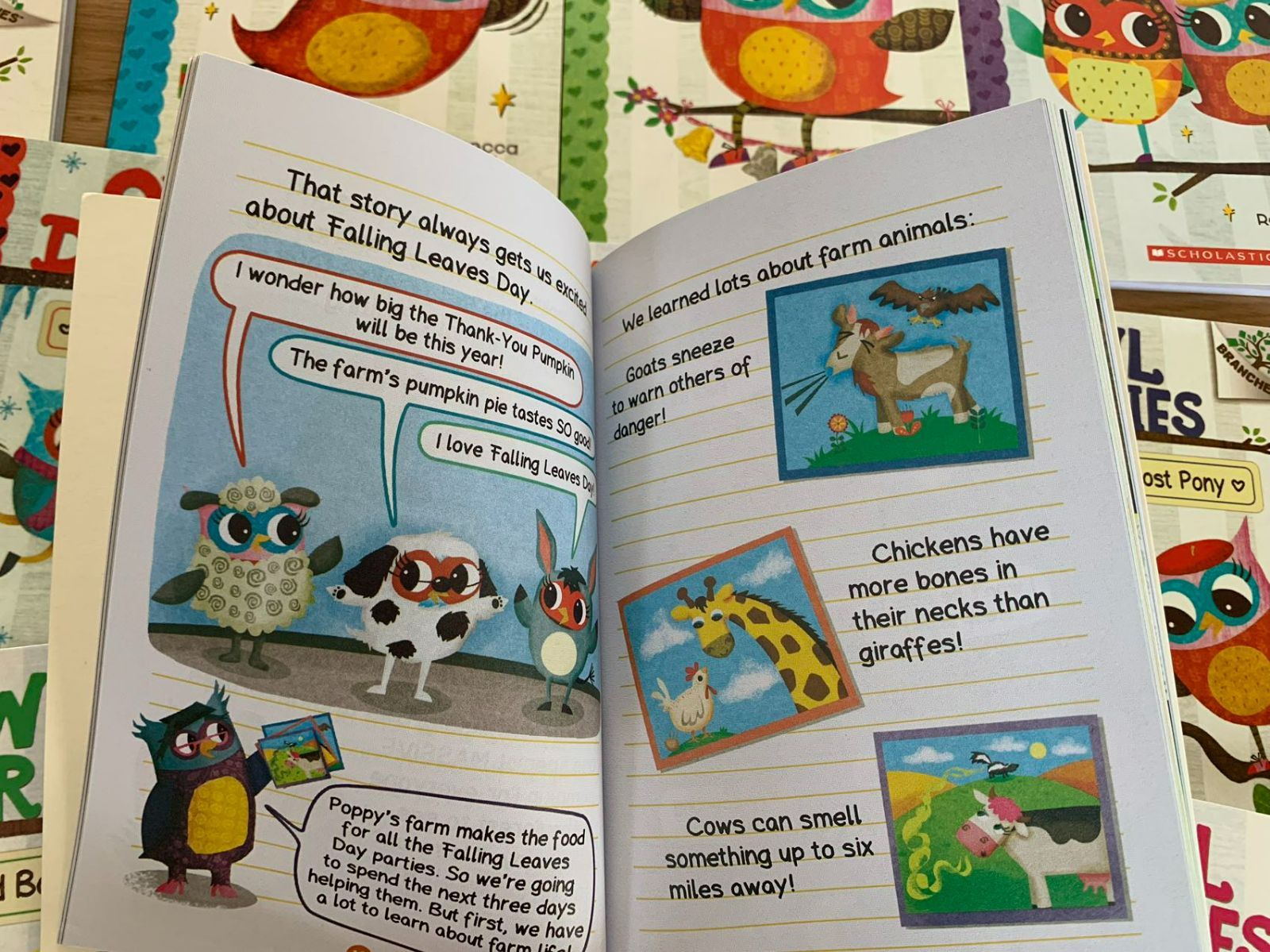 OWL Diaries 絵本15冊 全冊音源付 マイヤペン対応 新品 - メルカリ