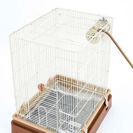 株 マルカン