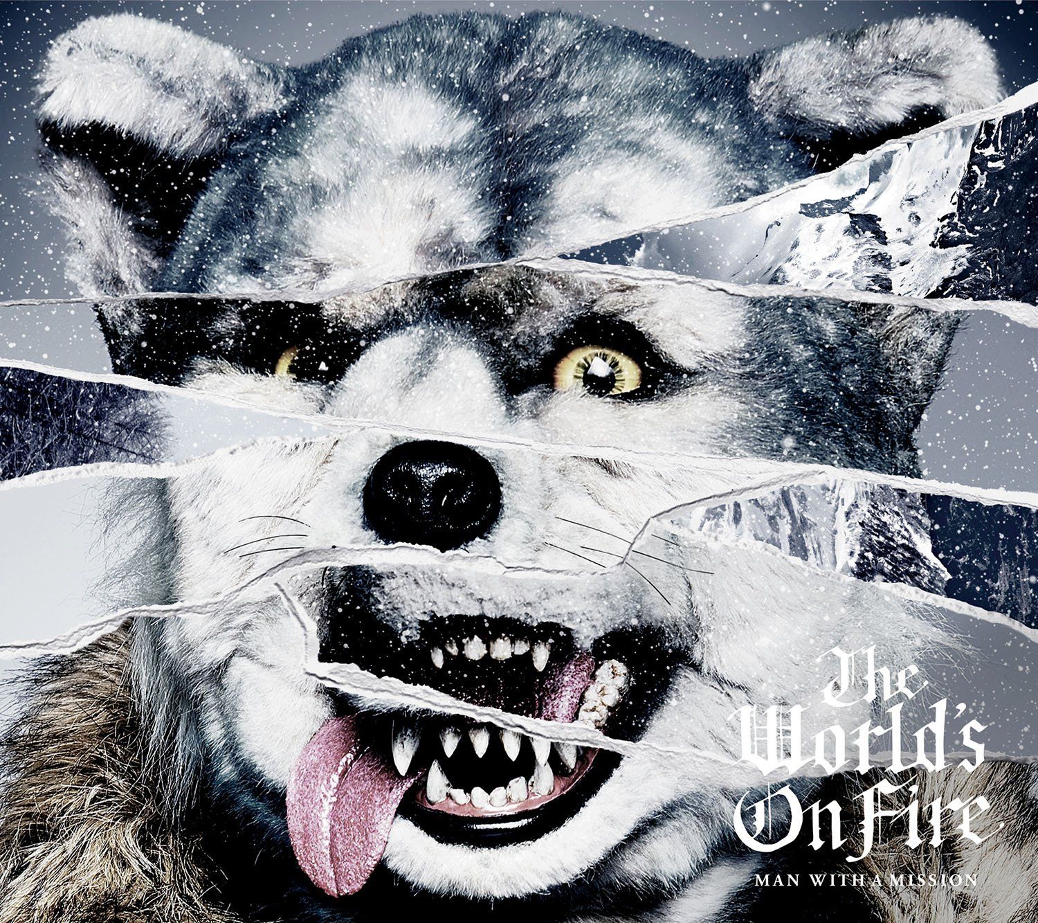 The World s On Fire 初回生産 盤 フォトブック付