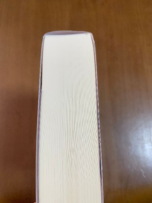 個人的現実の本質 : セス・ブック : 日々の問題を解決し、人生を豊かにするた… セス・ブック 個人的現実の本質 ― 日々の問題を解決し、人生を