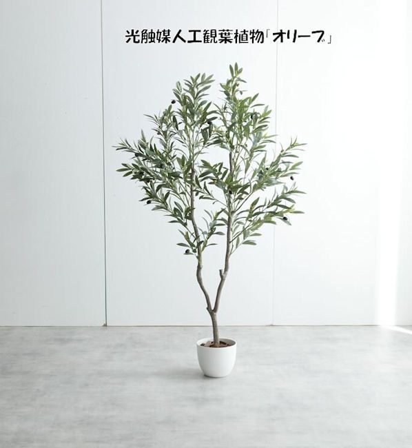 送料無料 光触媒人工観葉植物オリーブ高さ１５０ｃｍ 造花 人工植物 フェイクグリーン（183）