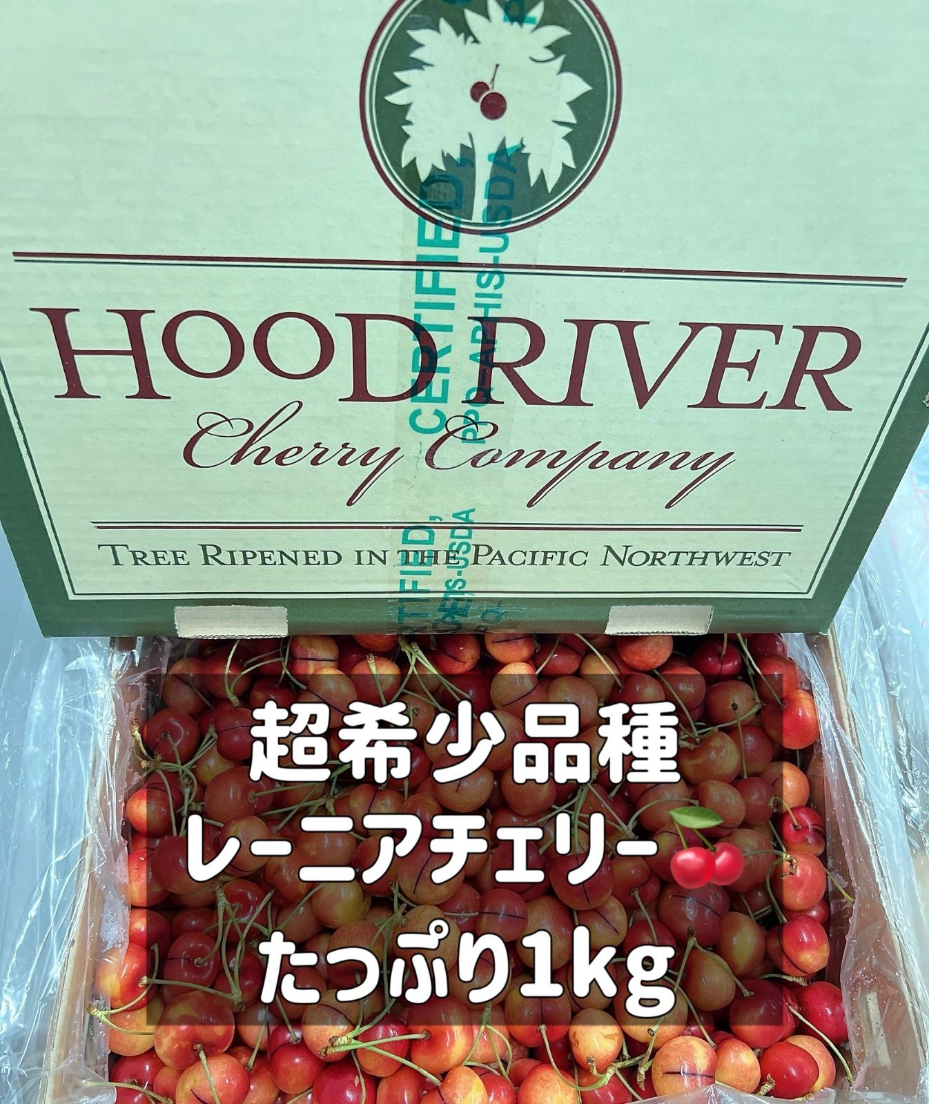 食品 高級レーニアチェリー 1kg さくらんぼ チェリー レイニアチェリー