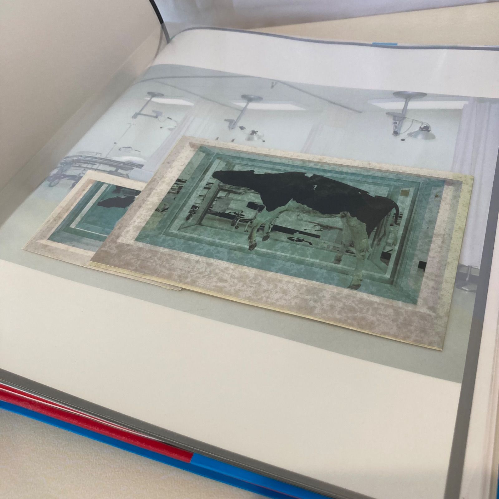 Damienhirst ダミアン・ハースト作品集　コンテンポラリー・アート古本 Damienhirst ダミアン・ハースト作品集 付属品ややあり 洋書