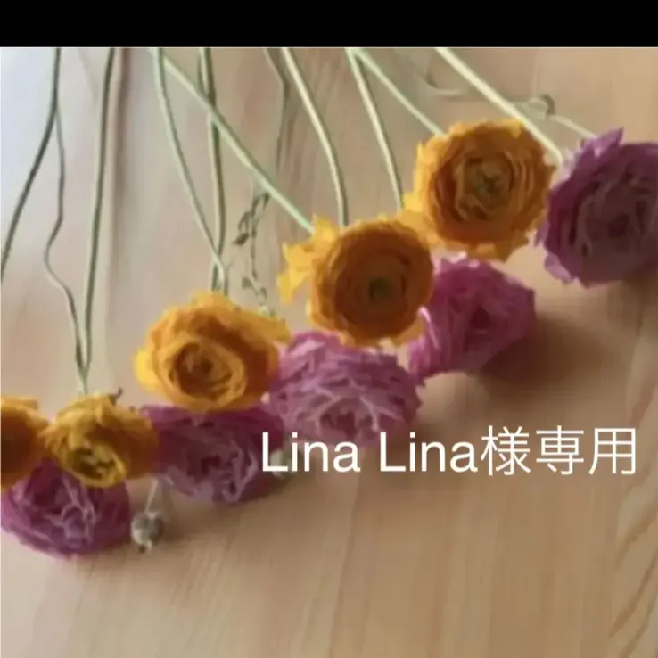 数量は多 ⭐︎liNA⭐︎様専用 svajcarija.rs