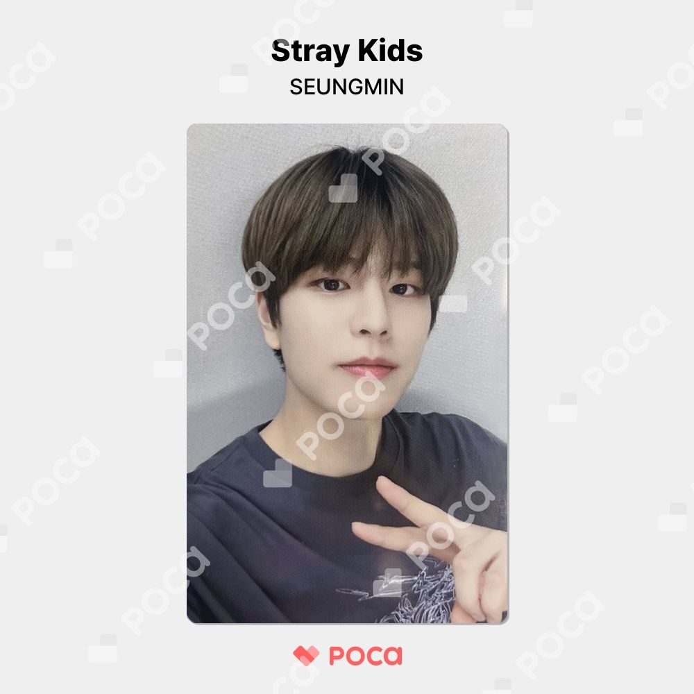 スキズ 樂-STAR POPUP アクスタ ヘアピン スンミン アイエン トレカ Stray Kids - スンミン⭐️アクスタ StrayKids XMAS POPUP 2024