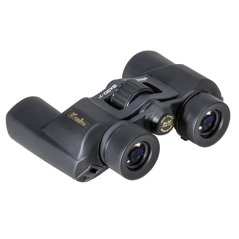 Kenko 双眼鏡 ultraVIEW 8x30WP ポロプリズム 8倍30口径 防水 1