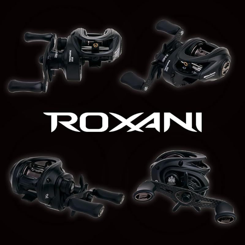 アブガルシア ロキサーニ BC HS8 右巻き AbuGarcia (アブガルシア