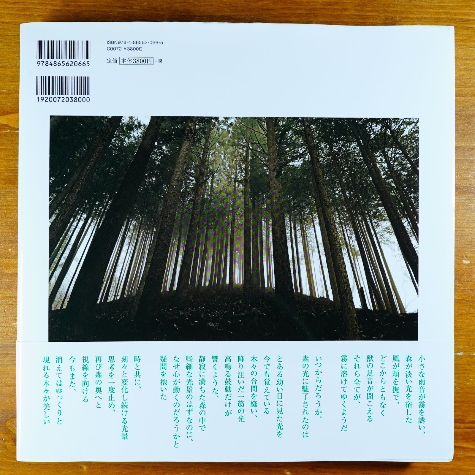 Dear Silence 静寂の森(音楽CD付) d3000