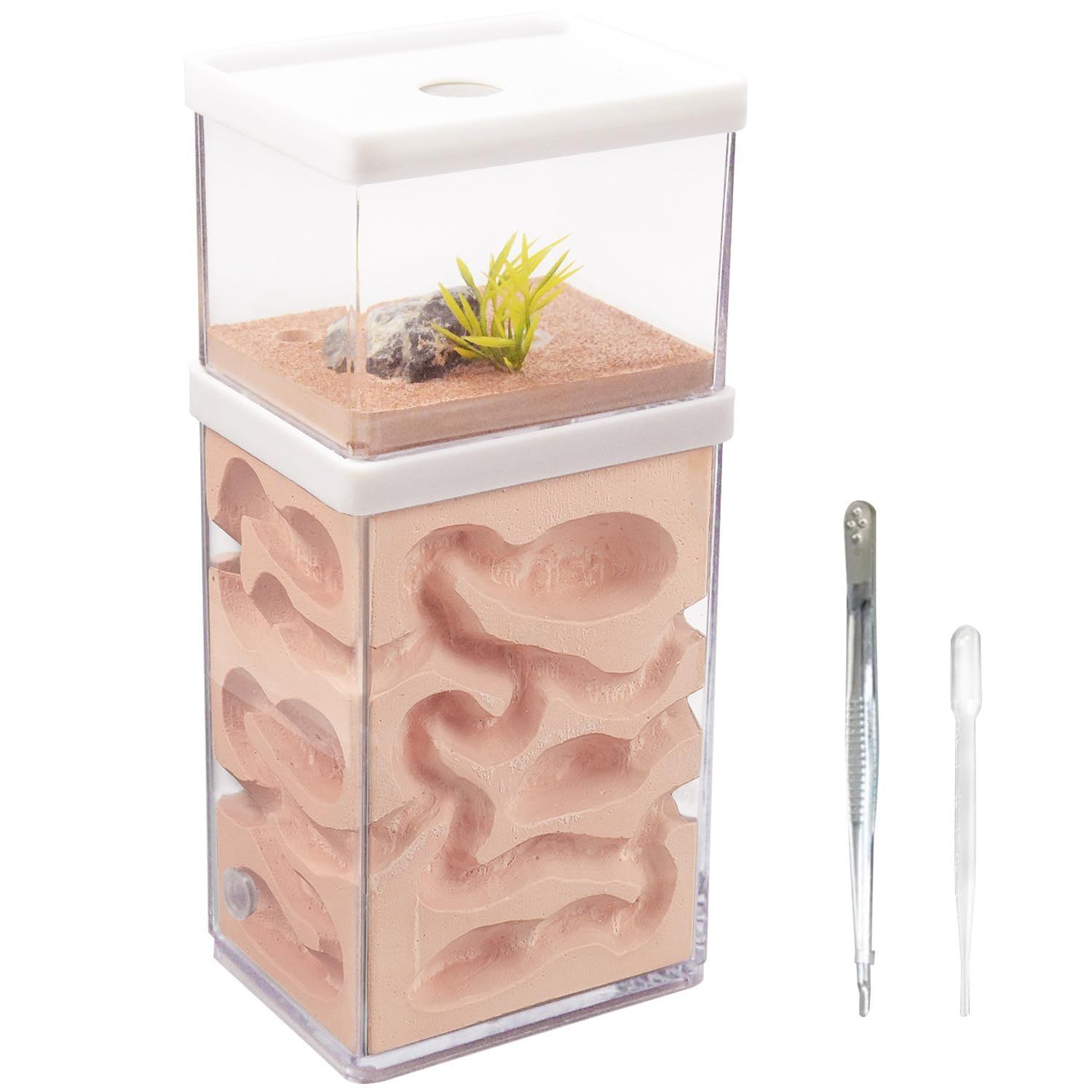 エッチングデザイン 八角形壁掛けミラー