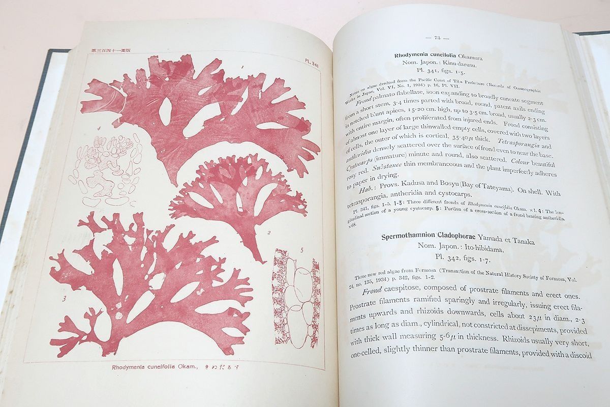 日本藻類図譜・3冊/岡村金太郎・日本藻類学の祖/数多くの新種記載を含んでおり今日でも日本の海藻研究にとり重要な文献である。 &frasl; 日本藻類図譜 日本藻類図譜・3冊&frasl;岡村金太郎・日本藻類学の祖&frasl;数多くの新種記載 - 岡村金太郎 神戸大学ニュース