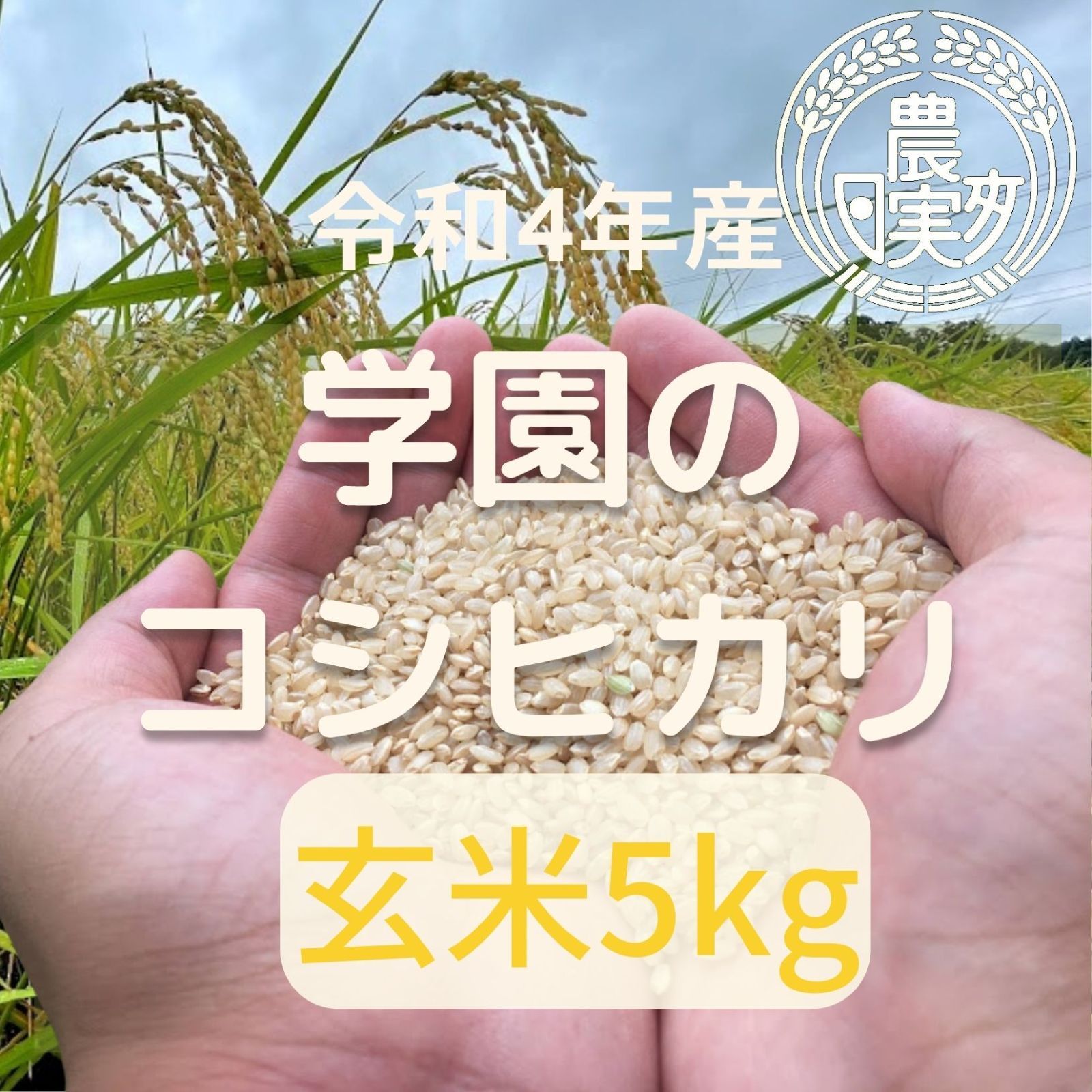 農業学校の学生と作った【コシヒカリ】玄米5kg　令和4年産新米　お米5キロ-0