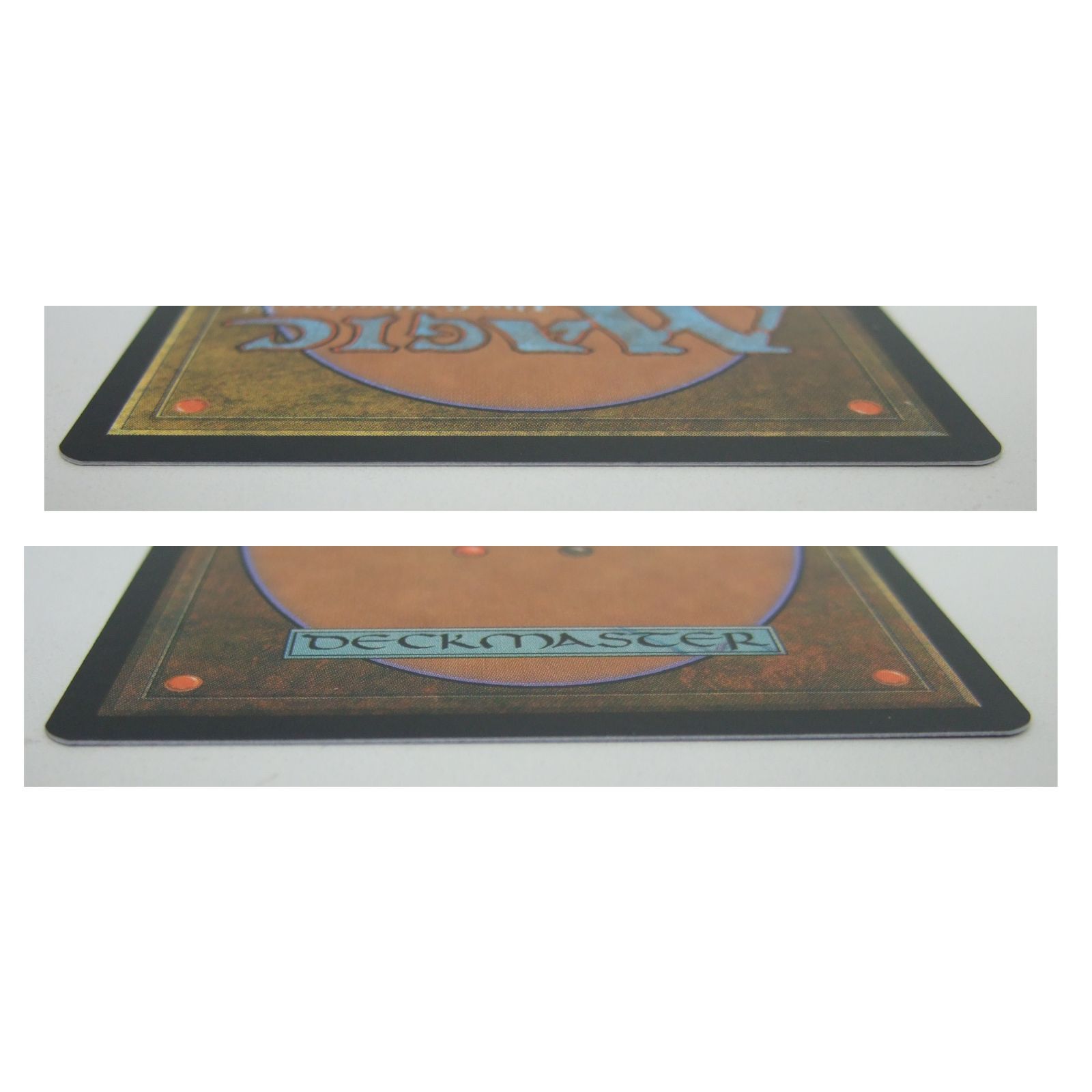 MTG 食物連鎖 Foil 日本語版 プレイ用 - メルカリ