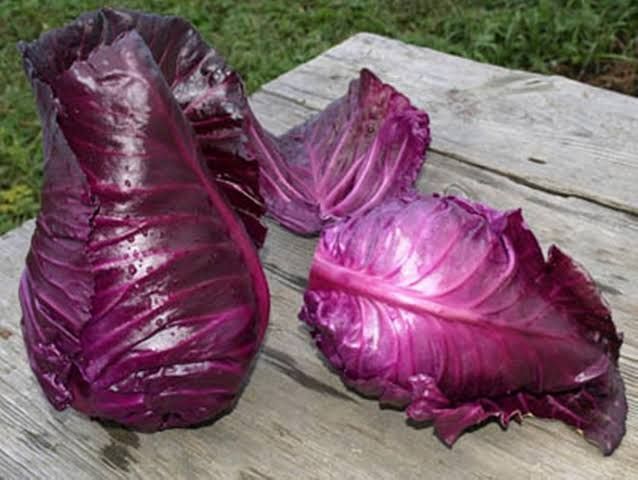 カリボスキャベツの種(固定種・Kalibos cabbage) カリボスキャベツの種(固定種・Kalibos cabbage) - メルカリ