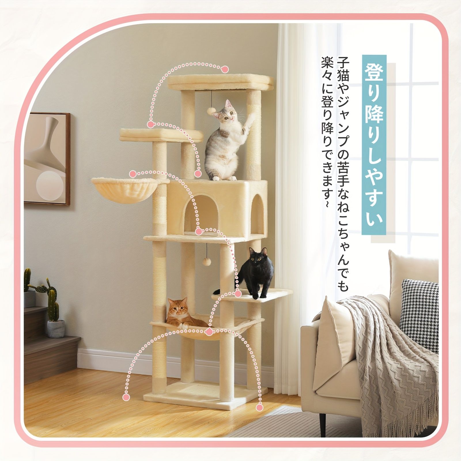 コンド＆ハンギングボールトイ付き