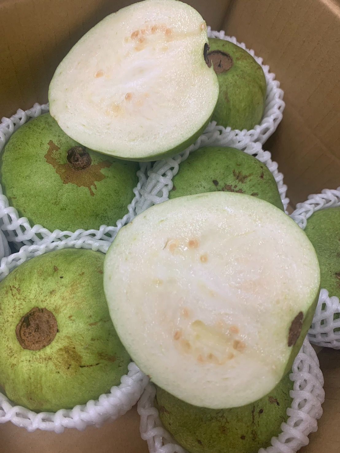 クール便 韓国産 チャメ 8kg イエローメロン 韓国 メロン 果物