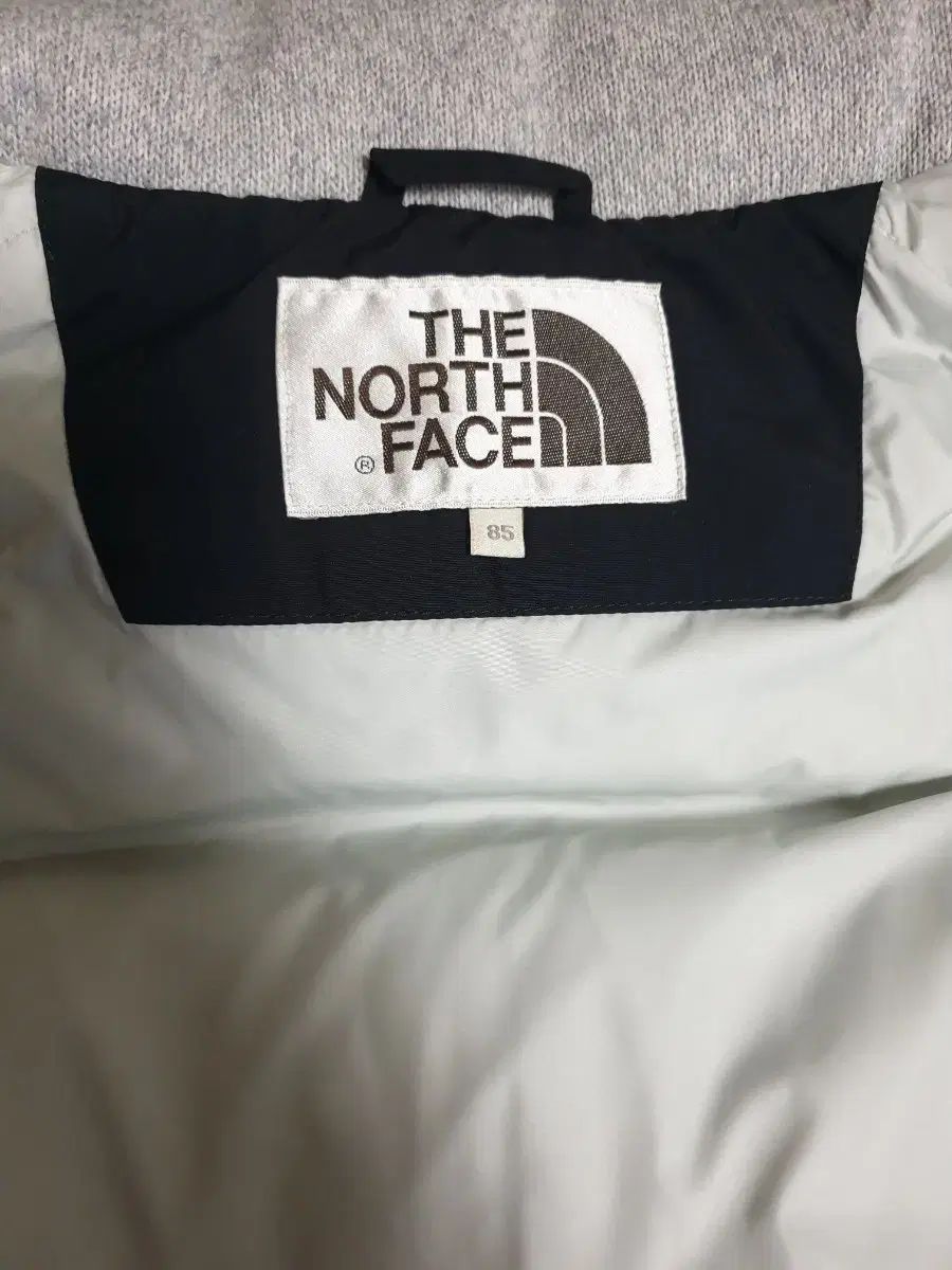 NORTH FACE