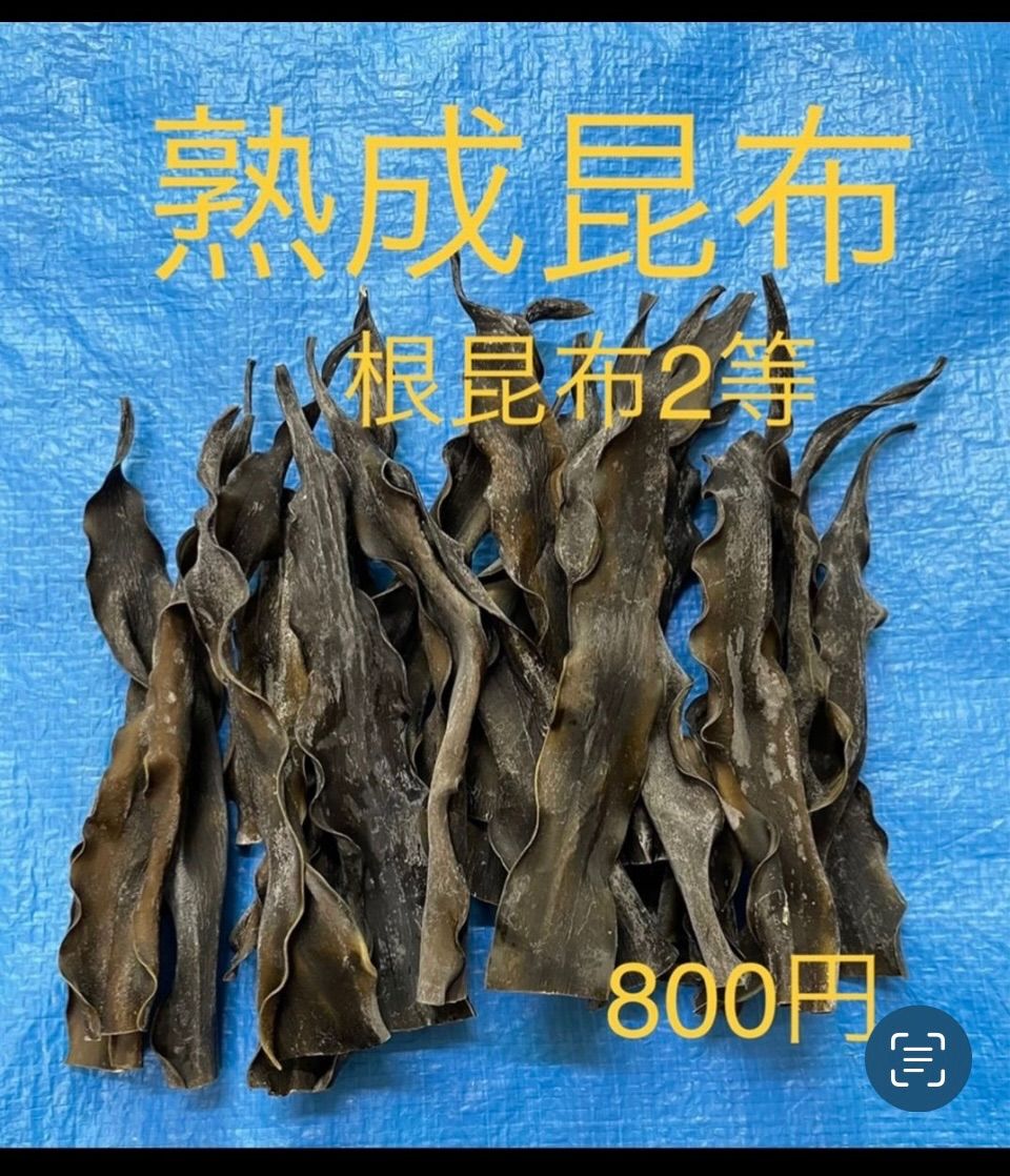 北海道産天然日高昆布熟成蔵出し根昆布2等100g - メルカリ