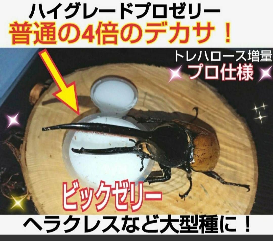 ビッグサイズ！ハイグレードプロゼリー☆200個　普通の4倍以上のデカサ！プロ仕様 超ビッグサイズ！ハイグレードプロゼリー200個 普通の4倍以上の