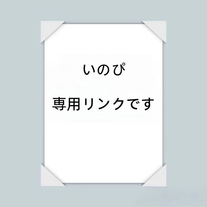 いのぴ  専用リンクです