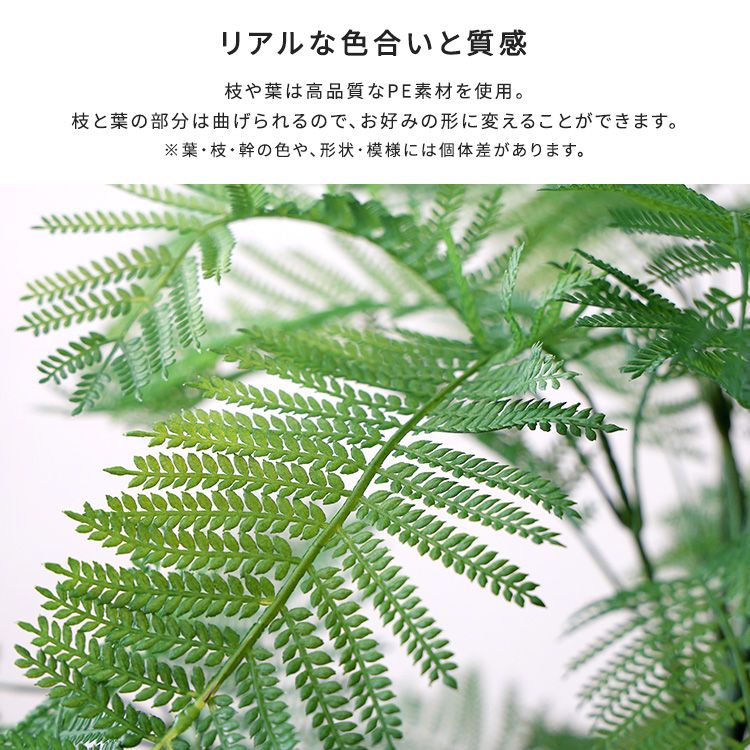 お手入れ簡単フェイクグリーン エバーフレッシュ