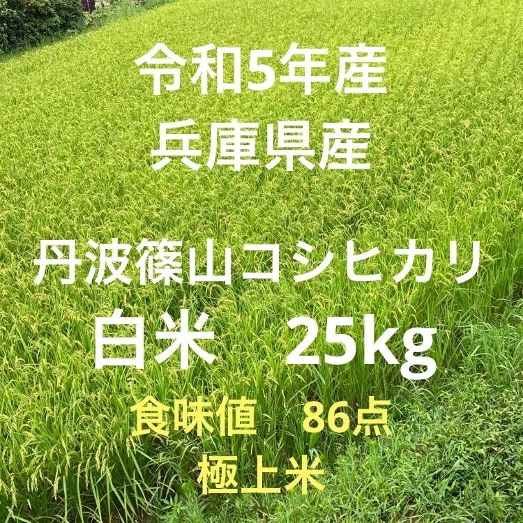 白米 25㎏ 令和5年産 美味しいお米☆農家直送！！ - 米・雑穀・粉類