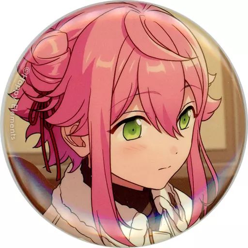 あんスタ 缶バッジ テーマスカウト 姫宮桃李 ×47 新品未使用 中古】バッジ・ピンズ 姫宮桃李 「あんさんぶるスターズ