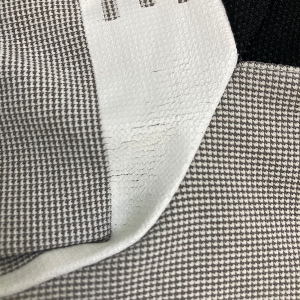 THE ALFEE 聖夜グローブ デビュー40年目のクリスマス 美品 ALFEE 聖夜