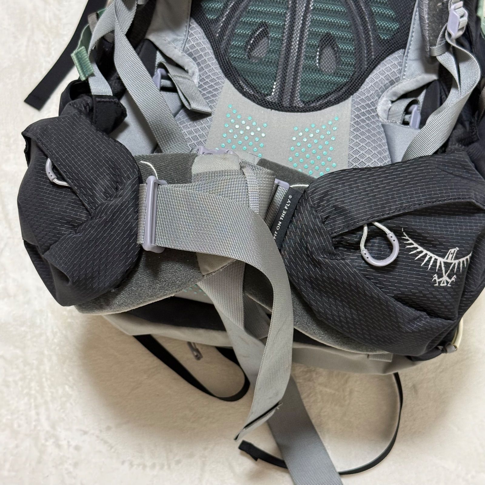 エーリエル プラス